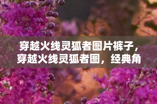 穿越火线灵狐者图片裤子,穿越火线灵狐者图,经典角色的魅力与传奇故事 穿越火线灵狐者图片裤子,穿越火线灵狐者图,经典角色的魅力与传奇故事