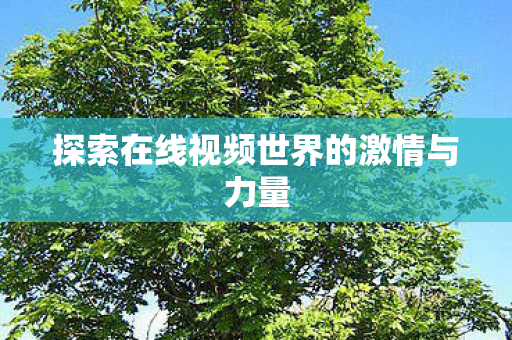 探索在线视频世界的激情与力量