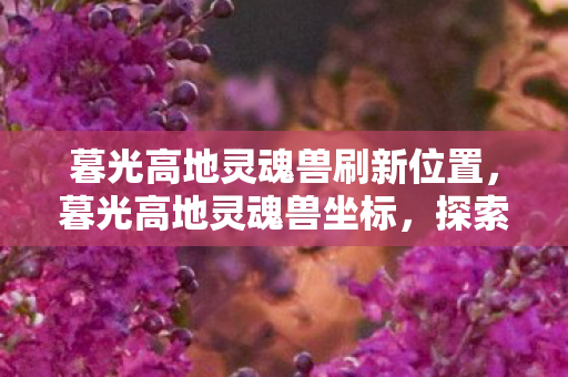 暮光高地灵魂兽刷新位置,暮光高地灵魂兽坐标,探索未知世界的神秘之旅 暮光高地灵魂兽刷新位置,暮光高地灵魂兽坐标,探索未知世界的神秘之旅