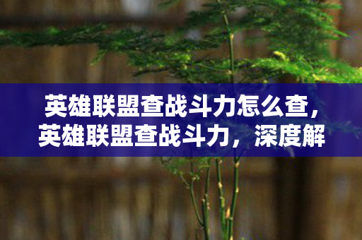 英雄联盟查战斗力怎么查,英雄联盟查战斗力,深度解析玩家实力与段位匹配 英雄联盟查战斗力怎么查,英雄联盟查战斗力,深度解析玩家实力与段位匹配
