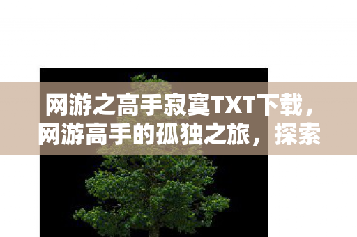 网游之高手寂寞TXT下载，网游高手的孤独之旅，探索虚拟世界的深度与广度
