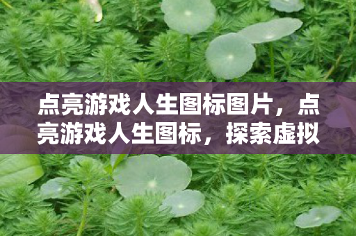 点亮游戏人生图标图片,点亮游戏人生图标,探索虚拟世界的无限可能 点亮游戏人生图标图片,点亮游戏人生图标,探索虚拟世界的无限可能