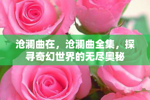 沧澜曲在,沧澜曲全集,探寻奇幻世界的无尽奥秘 沧澜曲在,沧澜曲全集,探寻奇幻世界的无尽奥秘