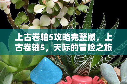 上古卷轴5攻略完整版,上古卷轴5,天际的冒险之旅 上古卷轴5攻略完整版,上古卷轴5,天际的冒险之旅