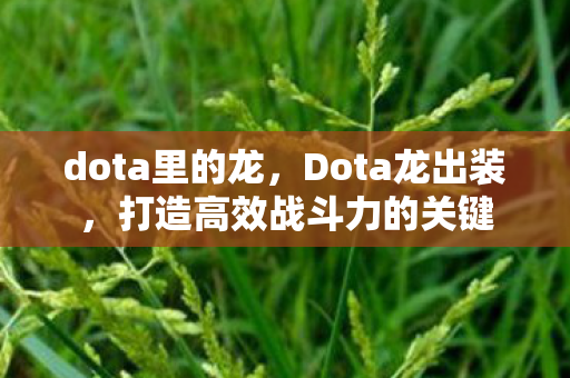 dota里的龙,Dota龙出装,打造高效战斗力的关键 dota里的龙,Dota龙出装,打造高效战斗力的关键