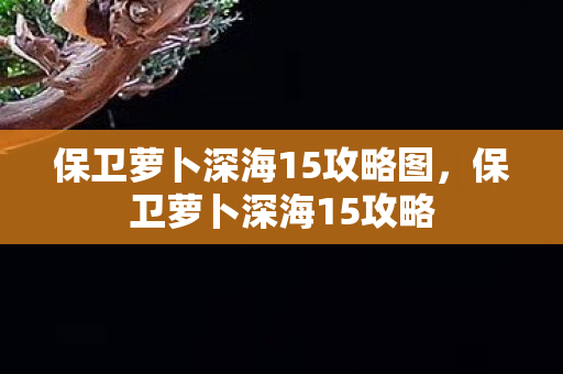 保卫萝卜深海15攻略图,保卫萝卜深海15攻略 保卫萝卜深海15攻略图,保卫萝卜深海15攻略
