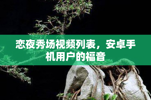 恋夜秀场视频列表,安卓手机用户的福音 恋夜秀场视频列表,安卓手机用户的福音