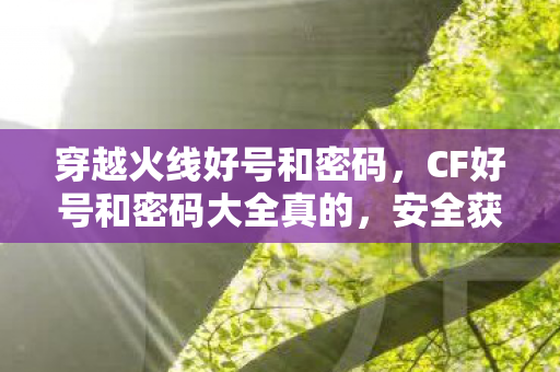 穿越火线好号和密码，CF好号和密码大全真的，安全获取与保护指南