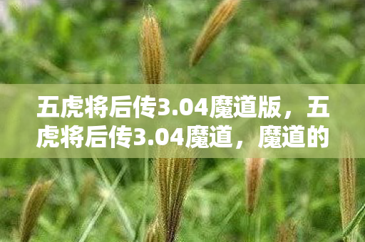 五虎将后传3.04魔道版，五虎将后传3.04魔道，魔道的崛起与五虎将的传奇再续