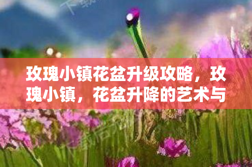 玫瑰小镇花盆升级攻略,玫瑰小镇,花盆升降的艺术与创意 玫瑰小镇花盆升级攻略,玫瑰小镇,花盆升降的艺术与创意