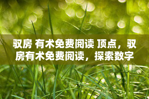 驭房 有术免费阅读 顶点,驭房有术免费阅读,探索数字时代的居住新体验 驭房 有术免费阅读 顶点,驭房有术免费阅读,探索数字时代的居住新体验