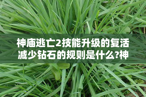 神庙逃亡2技能升级的复活减少钻石的规则是什么?神庙逃亡2,技能升级攻略,助你轻松逃脱险境 神庙逃亡2技能升级的复活减少钻石的规则是什么?神庙逃亡2,技能升级攻略,助你轻松逃脱险境