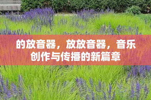 的放音器,放放音器,音乐创作与传播的新篇章 的放音器,放放音器,音乐创作与传播的新篇章