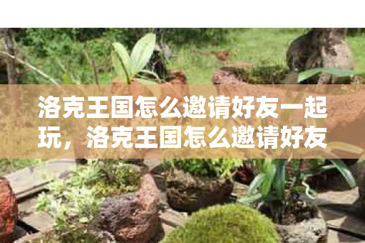 洛克王国怎么邀请好友一起玩，洛克王国怎么邀请好友
