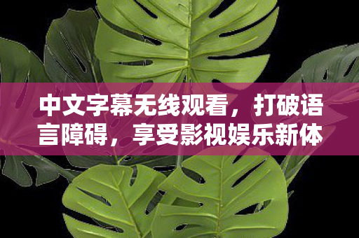 中文字幕无线观看,打破语言障碍,享受影视娱乐新体验 中文字幕无线观看,打破语言障碍,享受影视娱乐新体验