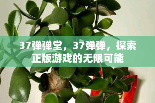 37弹弹堂，37弹弹，探索正版游戏的无限可能