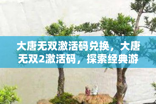 大唐无双激活码兑换,大唐无双2激活码,探索经典游戏的独特魅力 大唐无双激活码兑换,大唐无双2激活码,探索经典游戏的独特魅力