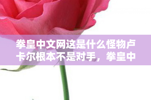 拳皇中文网这是什么怪物卢卡尔根本不是对手，拳皇中文网，重温经典，探索格斗游戏的魅力