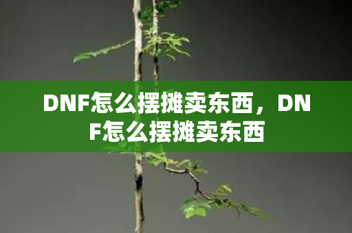 DNF怎么摆摊卖东西,DNF怎么摆摊卖东西 DNF怎么摆摊卖东西,DNF怎么摆摊卖东西