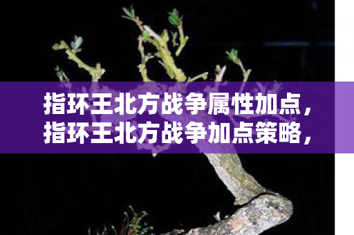 指环王北方战争属性加点,指环王北方战争加点策略,打造不败战队的秘诀 指环王北方战争属性加点,指环王北方战争加点策略,打造不败战队的秘诀