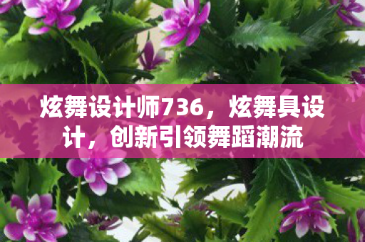 炫舞设计师736,炫舞具设计,创新引领舞蹈潮流 炫舞设计师736,炫舞具设计,创新引领舞蹈潮流