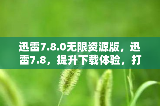 迅雷7.8.0无限资源版,迅雷7.8,提升下载体验,打造高效便捷的网络生活 迅雷7.8.0无限资源版,迅雷7.8,提升下载体验,打造高效便捷的网络生活