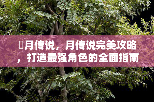 眀月传说,月传说完美攻略,打造最强角色的全面指南 眀月传说,月传说完美攻略,打造最强角色的全面指南