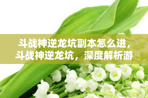 斗战神逆龙坑副本怎么进,斗战神逆龙坑,深度解析游戏背后的故事与魅力 斗战神逆龙坑副本怎么进,斗战神逆龙坑,深度解析游戏背后的故事与魅力