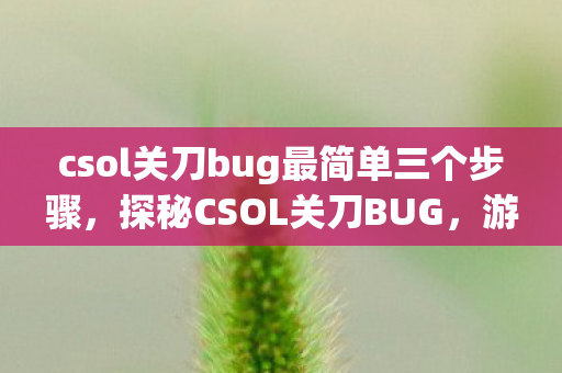 csol关刀bug最简单三个步骤,探秘CSOL关刀BUG,游戏平衡的挑战与玩家应对策略 csol关刀bug最简单三个步骤,探秘CSOL关刀BUG,游戏平衡的挑战与玩家应对策略