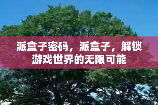 派盒子密码,派盒子,解锁游戏世界的无限可能 派盒子密码,派盒子,解锁游戏世界的无限可能