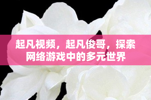 起凡视频,起凡俊哥,探索网络游戏中的多元世界 起凡视频,起凡俊哥,探索网络游戏中的多元世界