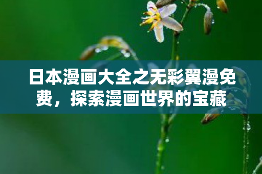 日本漫画大全之无彩翼漫免费,探索漫画世界的宝藏 日本漫画大全之无彩翼漫免费,探索漫画世界的宝藏