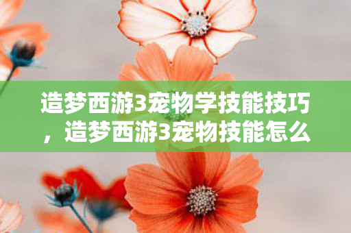 造梦西游3宠物学技能技巧,造梦西游3宠物技能怎么学 造梦西游3宠物学技能技巧,造梦西游3宠物技能怎么学