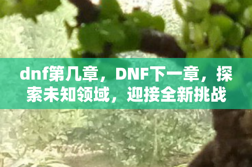 dnf第几章,DNF下一章,探索未知领域,迎接全新挑战 dnf第几章,DNF下一章,探索未知领域,迎接全新挑战