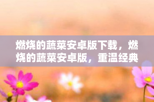 燃烧的蔬菜安卓版下载,燃烧的蔬菜安卓版,重温经典,畅享无限乐趣 燃烧的蔬菜安卓版下载,燃烧的蔬菜安卓版,重温经典,畅享无限乐趣