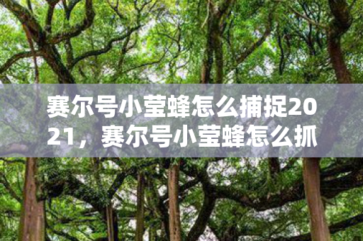 赛尔号小莹蜂怎么捕捉2021,赛尔号小莹蜂怎么抓 赛尔号小莹蜂怎么捕捉2021,赛尔号小莹蜂怎么抓