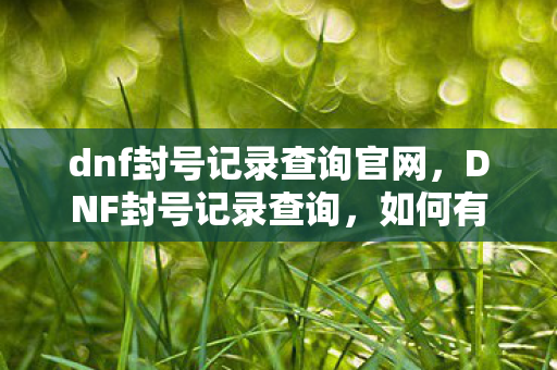 dnf封号记录查询官网，DNF封号记录查询，如何有效避免账号被封？