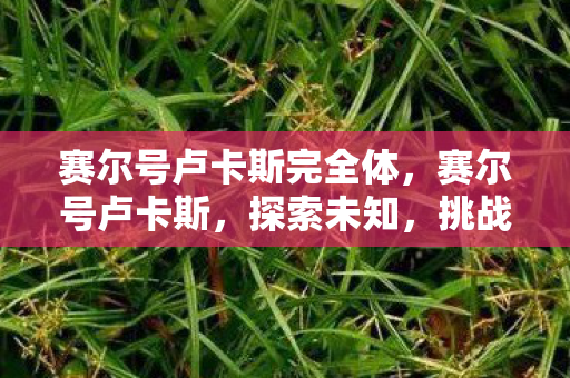 赛尔号卢卡斯完全体，赛尔号卢卡斯，探索未知，挑战极限