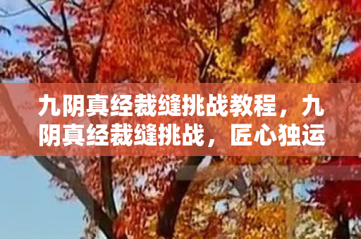 九阴真经裁缝挑战教程,九阴真经裁缝挑战,匠心独运,重塑经典 九阴真经裁缝挑战教程,九阴真经裁缝挑战,匠心独运,重塑经典