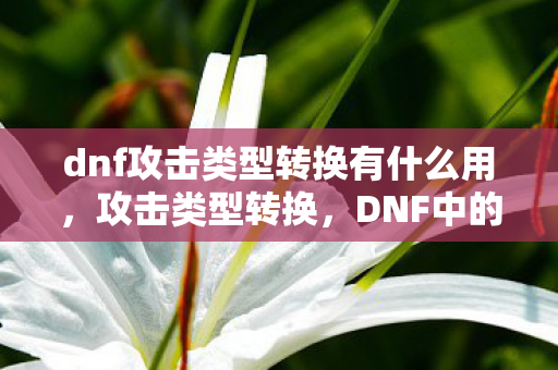dnf攻击类型转换有什么用,攻击类型转换,DNF中的战斗艺术 dnf攻击类型转换有什么用,攻击类型转换,DNF中的战斗艺术