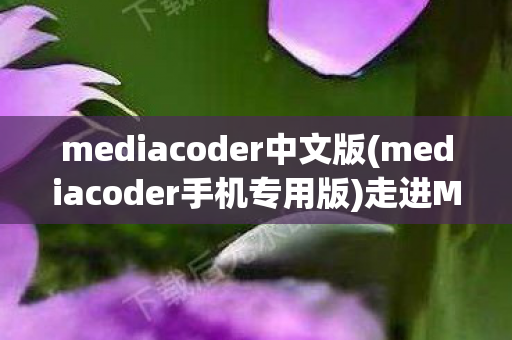 mediacoder中文版(mediacoder手机专用版)走进MediaCoder中文版,解码你的高清影音世界 mediacoder中文版(mediacoder手机专用版)走进MediaCoder中文版,解码你的高清影音世界