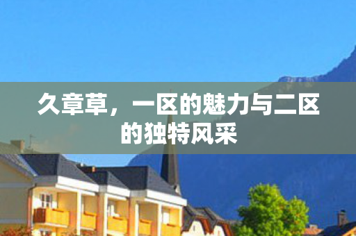 久章草,一区的魅力与二区的独特风采 久章草,一区的魅力与二区的独特风采