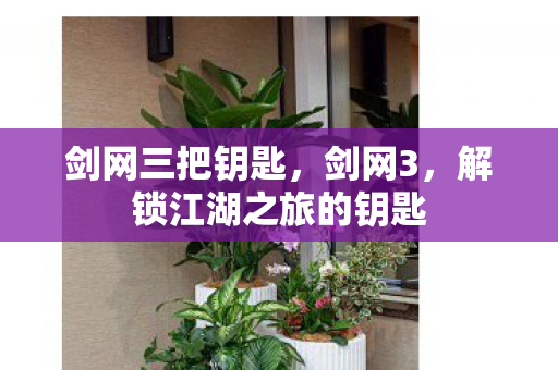 剑网三把钥匙,剑网3,解锁江湖之旅的钥匙 剑网三把钥匙,剑网3,解锁江湖之旅的钥匙