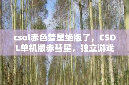 csol赤色彗星绝版了,CSOL单机版赤彗星,独立游戏的魅力与自由探索 csol赤色彗星绝版了,CSOL单机版赤彗星,独立游戏的魅力与自由探索