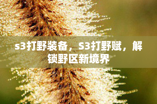 s3打野装备,S3打野赋,解锁野区新境界 s3打野装备,S3打野赋,解锁野区新境界