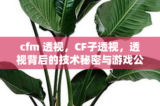 cfm 透视,CF子透视,透视背后的技术秘密与游戏公平性探讨 cfm 透视,CF子透视,透视背后的技术秘密与游戏公平性探讨