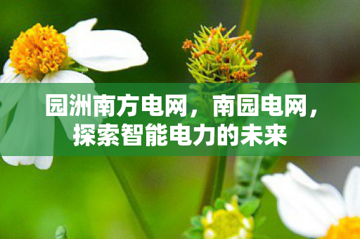 园洲南方电网,南园电网,探索智能电力的未来 园洲南方电网,南园电网,探索智能电力的未来