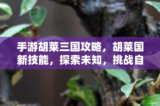 手游胡莱三国攻略,胡莱国新技能,探索未知,挑战自我 手游胡莱三国攻略,胡莱国新技能,探索未知,挑战自我