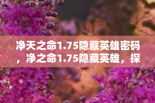 净天之命1.75隐藏英雄密码,净之命1.75隐藏英雄,探索未知的游戏世界 净天之命1.75隐藏英雄密码,净之命1.75隐藏英雄,探索未知的游戏世界