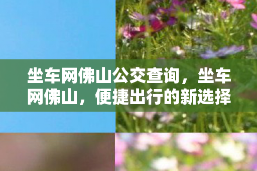 坐车网佛山公交查询,坐车网佛山,便捷出行的新选择 坐车网佛山公交查询,坐车网佛山,便捷出行的新选择